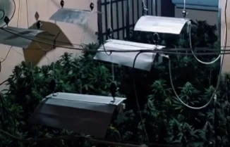 EuropaPress_7538601_plantas_marihuana_intervenidas_vivienda_sacromonte_granada_operacion